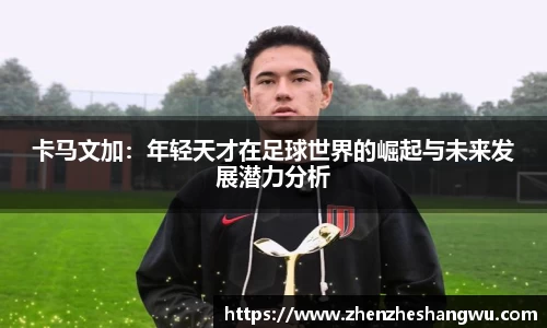 365WM完美体育官网