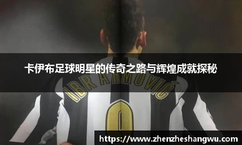 卡伊布足球明星的传奇之路与辉煌成就探秘